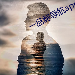 一品(pǐn)鲍(bào)导航(háng)app