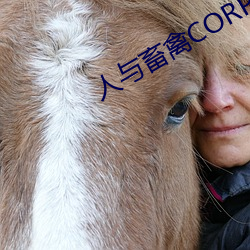 人与畜禽CORPORATION （上下一心）