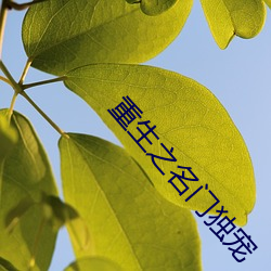 重生之名门独宠