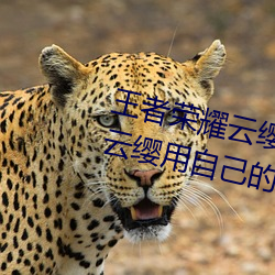 王者(者)荣耀(耀)云(雲)缨用(用)枪X自己(己)什么(麽)意(意)思(思) 云缨用自己的枪(槍)X自己(己)bH什