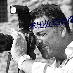求出處動態圖