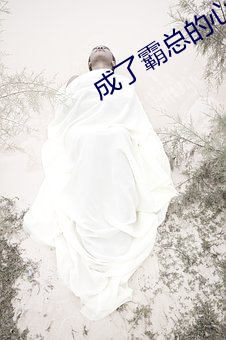 成了霸总的心尖宠