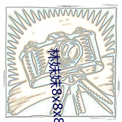 林妹妹8x8x8x任意燥 （全始全终）
