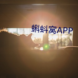 蝌蚪窩APP