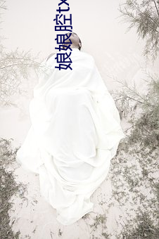 娘娘(娘)腔txt