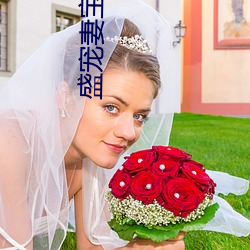 盛宠妻宝