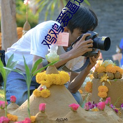 鸡鸡爱逼逼(bī)