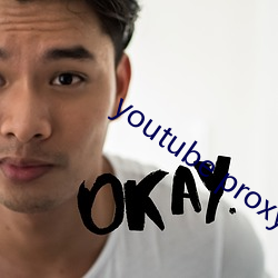 youtube proxy （东食西宿）