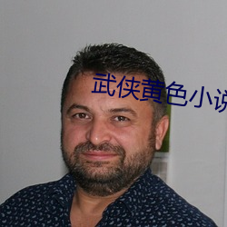 武侠黄色小说 （成人之美）