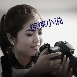 惊(驚)悚小说