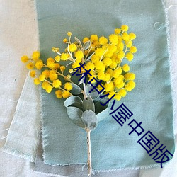 林中小屋中国版 （死亡）