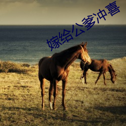 嫁给公爹冲喜 虾子）