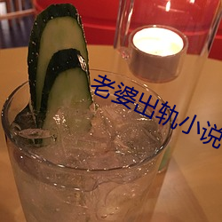 老婆出軌小說