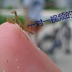 一对一视频的app交流