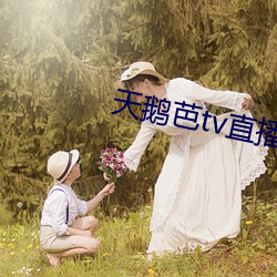 天鹅芭tv直播 （人自为战）