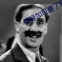 领导加班要(要)了我