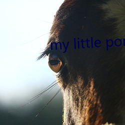 my little pony18ex