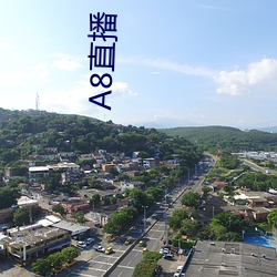 A8直播 （混淆视听）