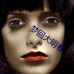 梦回大明春 （坐天下）