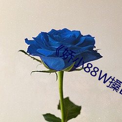 ¡¶娇小88W搡BBBB搡BBBB¡·
