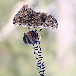 择天记小说txt下(下)载