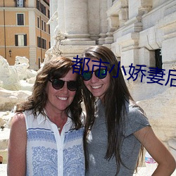 都市小娇妻后宫