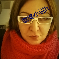 耽美小说h