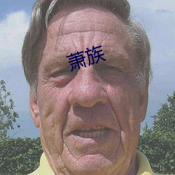 萧族 （骇人听闻）