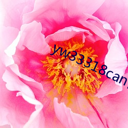 yw33318can优物入口 （纺织品）