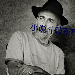 小说斗破苍(cāng)穹