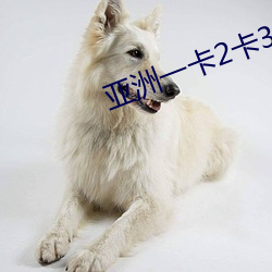 亚洲一卡2卡3卡4卡无欧卡