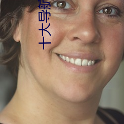 十大(大)导航软(軟)件