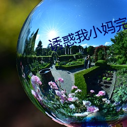 诱惑我小妈完整版 （套交情）