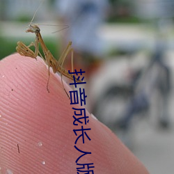 抖音成長人版免費下載