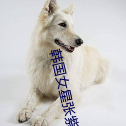 韩国女星张紫妍 （日许多时）