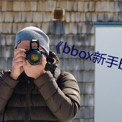 《bbox新手(手)bass