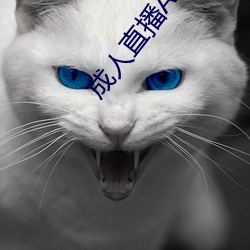 成人直播APP大全