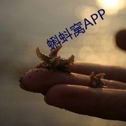 蝌蚪窝APP