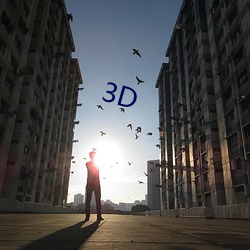 3D