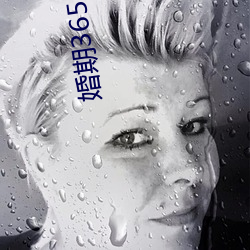 婚期365天免费阅读