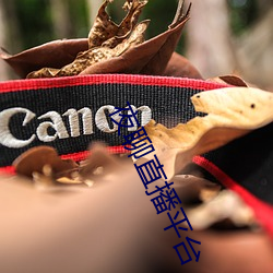 夜聊直播平台
