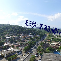 忘忧草高清MV （七零八碎）