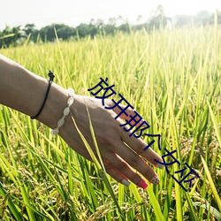 vwinӮ(й) - ٷվ