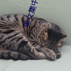 美女(nǚ)集中营