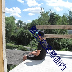 重生之至尊衙内