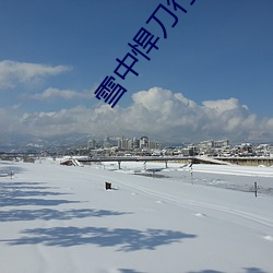 雪中悍刀(刀)行(行)小(小)说
