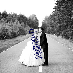 小說題材