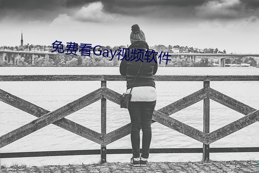 免费看Gay视频软件