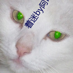 着迷by阿司匹林