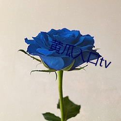 vwinӮ(й) - ٷվ